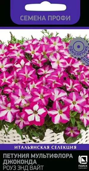 Петуния мультифлора Джоконда Роуз энд Вайт (Семена Профи) (ЦВ) ("1) 10шт из каталога Петуния Петуния мультифлора Джоконда Роуз энд Вайт<br>
<br>
Непрерывно цветут с ранней весны до поздней осени. За счёт интенсивного ветвления, растение производит огромное количество цветов в течение всего периода вегетации. Разрастается до 1 м в диаметре. Высота растения 25-30 см. Размер цветка - 7 см. Окраска - розовая с белой звездой. Способность адаптироваться к широкому диапазону температур от минус 5°С до плюс 40°С. Продолжает расти при низких температурах. Устойчива к серой гнили. Прекрасно подходит для создания парадных клумб и в качестве контейнерной культуры.<br>