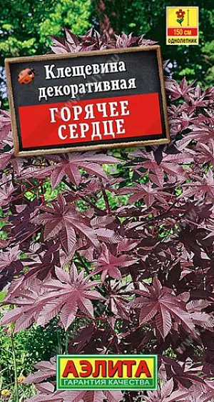 Семена Клещевина Горячее сердце.
Эффектное, быстрорастущее декоративное растение до 200 см в высоту. Кусты широкие, раскидистые, мощные, с прочными стеблями и крупными листьями. Цветки мелкие, собраны в кистевидные, довольно крупные соцветия, придают растению еще более экзотический облик. Клещевина очень теплолюбива, засухоустойчива, хорошо развивается на открытых, солнечных местах. Стойко переносит воздействие дождя и ветра. Используется в одиночных посадках, группами по 2-3 растения и как лидер среди низких летников. 
Агротехника. Посев семян на рассаду в отдельные горшочки на глубину 2-3 см. Семена предварительно замачивают в течение суток. Высадка в открытый грунт в конце мая-начале июня, после окончания заморозков. Рекомендуем сажать в заранее подготовленную посадочную яму, заполненную хорошим компостом, так как клещевина требует богатых, глубоко обработанных почв.