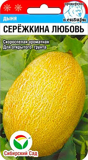 Семена Дыня Сережкина любовь Семена Дыня Сережкина любовь