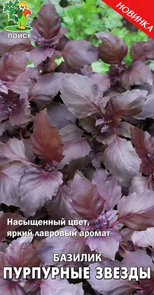 Семена Базилик Пурпурные звезды