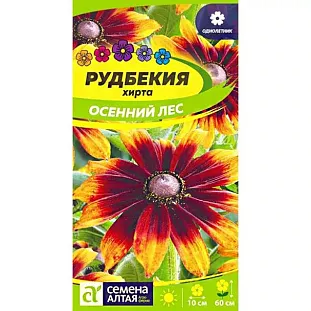 Рудбекия хирта Осенний Лес Рудбекия хирта Осенний Лес