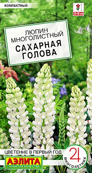 Семена Люпин Сахарная голова из каталога Люпин <div>
Семена Люпин Сахарная голова.
</div>
Изящный низкорослый сорт с белоснежными цветками. Соцветия крупные и плотные. Люпин – отличный многолетник для создания эффектных вертикалей в клумбах, миксбордерах и палисадниках. Пышно и длительно цветет, не требуя особенного ухода. Высота растений не превышает 35 см. при выращивании в ограниченном объеме грунта, в цветниках – до 40 см. Для посадок подходят солнечные участки, без избытка влаги. В горшках и вазонах объемом 4-6 л. размещают не более 1-3 растений. После цветения рекомендуется обрезать старые соцветия, это стимулирует образование новых побегов.<br>
<br>
Посев на постоянное место в самые ранние сроки или под зиму (октябрь – начало ноября). Рекомендуются поливы только под корень. Регулярные подкормки без избытка азота обеспечивают более пышное цветение. Для успешной перезимовки желательно мульчирование корневой шейки растений.<br>