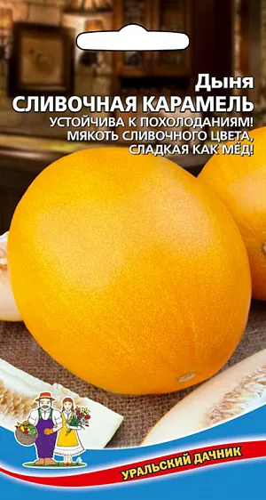 Семена Дыня Сливочная карамель