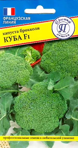 Семена Капуста брокколи Куба F1 Семена Капуста брокколи Куба F1