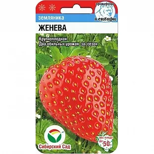 Семена Земляника (клубника) Женева крупноплодная