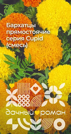 Семена Бархатцы прямостоячие серия Cupid (смесь)

Популярная смесь, широко используемая в городском и парковом озеленении. Растения компактные, с крупными махровыми соцветиями (до 9 см в диаметре) лимонной, золотисто-желтой, оранжевой окраски. Теплолюбивые и засухоустойчивые. Особенно хороши в массивных и бордюрных посадках. Можно высевать в грунт весной и под зиму. Отпугивают нематод

