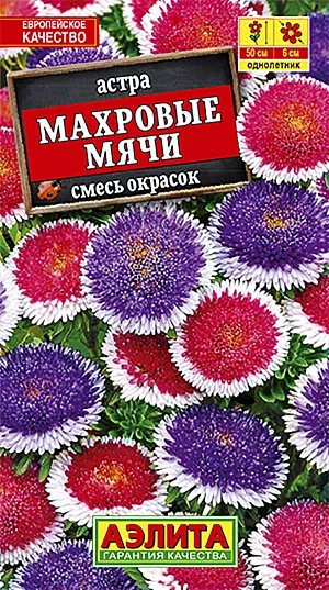 Семена Астра Махровые мячи смесь окрасок.
Необычайно эффектная окраска - это то, что отличает новую смесь. Таким эффектным её наряд стал благодаря интенсивному цветовому переходу на язычковых цветках, которые мы обычно называем лепестками. Не жалейте растения, срезайте цветы для букета, -это будет стимулировать появление новых!
