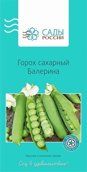 Горох Балерина Горох Балерина