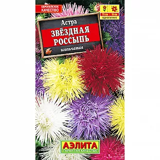 Астра Звездная россыпь, смесь сортов