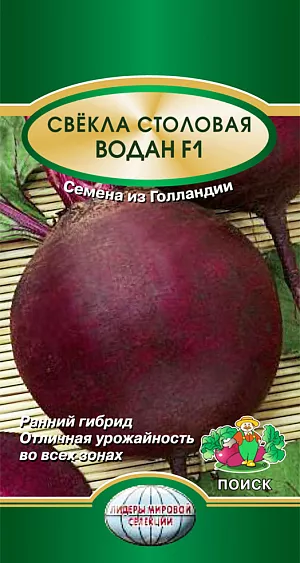 Семена Свекла Водан столовая F1
