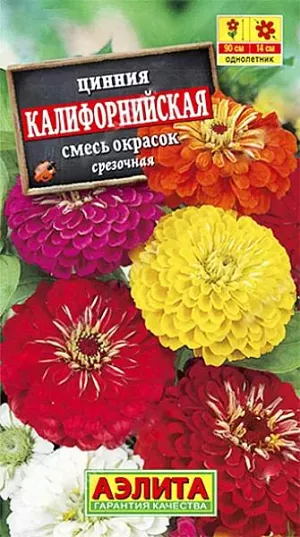Семена Цинния Калифорнийская смесь окрасок.
Смесь цинний с экстра-крупными соцветиями (14-15 см в диаметре) на длинных цветоносах. Формирует мощные кусты высотой 80-90 см. Растения неприхотливые, быстрорастущие, обильно и продолжительно цветущие на солнечных участках с умеренно влажными почвами. Смесь имеет универсальное применение – на срезку и для оформления сборных цветников, где крупные растения отлично смотрятся на задних планах. Агротехника. Выращивают рассадным способом. С развитием первой пары настоящих листочков сеянцы пикируют. В фазе 5-6 листьев проводят формирующую прищипку. Рассаду высаживают в открытый грунт, когда минует опасность заморозков. Растениям необходимы регулярные поливы, прополки, рыхления и подкормки. Возможен посев семян в открытый грунт на глубину 1 см. 
