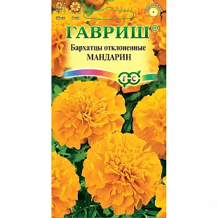 Бархатцы Мандарин отклоненные