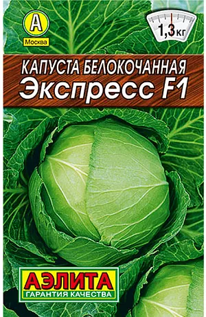 Семена Капуста белокочанная Экспресс F1 Семена Капуста белокочанная Экспресс F1