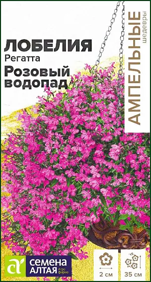 Семена Лобелия Регатта Розовый водопад из каталога Лобелия <div>
Семена Лобелия Регатта Розовый водопад.
</div>
Однолетние лобелии серии Regatta являются эталоном среди ампельных лобелий. Они сочетают в себе экстрараннее обильное и продолжительное цветение и широкий спектр окрасок. Растение сначала формирует сильно-ветвистый кустик, высотой 15-20 см, и затем, продолжающие свой рост побеги, начинают ниспадать каскадами ярких цветов, достигая длины до 35 см. В период цветения все растение покрыто одиночными, до 2 см в диаметре, темно-розовыми с белым центром цветками. Отлично подойдет для выращивания в подвесных кашпо и балконных ящиках, вазонах и больших контейнерах. Светолюбивое, теневыносливое и влаголюбивое растение, достаточно холодостойкое. Предпочитает незатенённые места с хорошо дренированными супесчаными и суглинистыми почвами средней влажности. Посев на рассаду в конце февраля-начале марта в ящики с лёгким грунтом. Семена заключены в мультидраже, их равномерно распределяют по поверхности влажного субстрата, слегка вдавливая в него. Не заглубляйте семена, так как для прорастания им нужен свет. Для получения наилучшего результата посев рекомендуем проводить в торфяные таблетки (одно драже в таблетку). Посевы увлажняют, накрывают пленкой и помещают в светлое теплое (+20-25оС) место, ежедневно их следует проветривать. Через 7-8 дней появятся всходы, пленку убирают. Рассаду перемещают в прохладное (+15-17оС) светлое место, оберегая от попадания прямых солнечных лучей. В условиях короткого светового дня всходам требуется досвечивание. С появлением 1-2-х настоящих листочков сеянцы пикируют. В открытый грунт на постоянное место рассаду высаживают когда минует угроза заморозков. Посадочный интервал 20-25 см. Цветение начинается через 70-80 дней от посева, с июня по сентябрь. Обрезка растений в августе, после основного цветения, стимулирует рост новых побегов и повторное цветение до глубокой осени. Внимание! Семена дражированные - оболочку драже не разрушать! Одно мультидраже содержит 3-5 семян. Благодаря этому при пикировке растение высаживается плотными пучками.