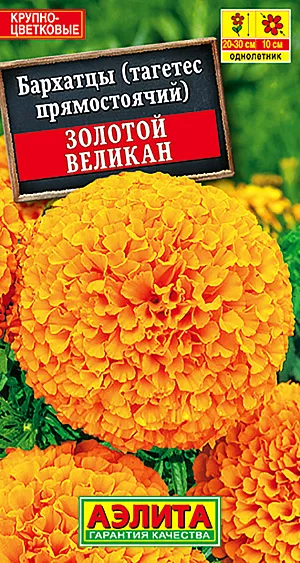 Семена Бархатцы Золотой великан. <br>
 <br>
  Новые бархатцы предстанут перед Вами во всей своей красе уже в начале июня. Крупные цветки насыщенных ярких расцветок не теряют своей декоративности около двух недель. Благодаря устойчивости к непогоде, куст прекрасно держит форму и заслуживает центрального места в балконных ящиках, контейнерах и вазонах. <br>
 <br>
"Золотой великан"- отличный помощник в заполнении промежутков между соседними растениями.
Агротехника. Выращивают рассадным способом. Посев проводят в первой половине апреля. Всходы появляются через 4-8 дней после посева, сеянцы пикируют в фазе 1-2-х настоящих листьев. Рассаду высаживают в конце мая – начале июня. Схема посадки 30х30 см. Возможен посев семян в открытый грунт в мае на глубину 1,5-2 см. Для продолжительного и обильного цветения растениям необходим своевременный полив, регулярная прополка, рыхление и подкормка минеральными удобрениями.