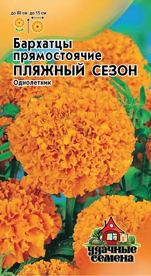 Семена Бархатцы Пляжный сезон прямостоячие.
Бархатцы-широко распространенные в декоративном озеленении растения. Образует куст высотой до 80 см с ясно выраженным главным побегом.
Соцветия до 15 см в диаметре, густомахровые, шаровидные, оранжевые. Цветение продолжительное в течение всего лета. 
Бархатцы светолюбивы и теплолюбивы, засухоусточивы. К почвам нетребовательны, но предпочитают плодородные легкие почвы. 
Выращивают, как правило, рассадным способом. Используют для посадки на клумбах, рабатках, бордюрах, в балконные ящики, можно использовать, как горшечную культуру.

