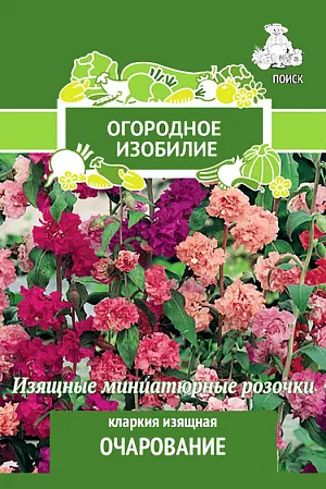 Семена Кларкия изящная Очарование.
Великолепные цветы для больших групп. Растение с прямостоячими, густоветвистыми стеблями. Цветки махровые, похожи на миниатюрные розочки, разной окраски. На ветвях цветение идёт снизу вверх. Используют для посадки на клумбы, рабатки и на срезку.
Посев: апрель-май
Глубина посева: 0.5 см
Время цветения: июль-сентябрь
Схема посадки:20х20 см
