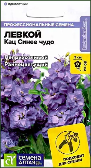 Семена Левкой махровый Кац Синее чудо<br>
 <br>
 Неприхотливый сорт для срезки и высоких клумб. Формирует выравненные кустики с короткими междоузлиями. Цветение раннее, обильное и продолжительное, цветки крупные, абрикосово-медного цвета (50% махровых цветков), собраны в эффектные кисти. Соцветия срезают в стадии 3-5 распустившихся цветков, в срезке стоят до 8 дней, для продления декоративности букеты можно убирать в холодильник. Высота растения: 60-80 см Диаметр цветка: 2,5-3 см Условия выращивания, место посадки: хорошо освещенные места Требования к грунту: питательный легкий грунт с нейтральной реакцией Способы выращивания: рассадный, безрассадный Время посева на рассаду: февраль-март Время посева в грунт: апрель-май, октябрь-ноябрь.<br>