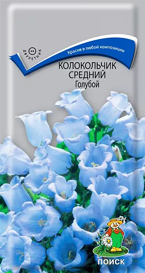 Колокольчик средний Голубой из каталога Колокольчик Семена Колокольчик Средний Голубой.
Колокольчик красив в различных цветочных композициях и дает изящный материал для срезки. Растение образует куст пирамидальной формы высотой 80 см. Крупные тёмно-голубые цветы собраны в пирамидальные соцветия. Цветет в июне-июле.
Агротехника. Растение предпочитает плодородные, хорошо дренированные почвы, солнечное место, защищенное от ветров. Посев семян производят в конце мая в открытый грунт. При температуре +20°С всходы появляются на 14-20 день. Сеянцы распикировывают на запасные гряды по схеме 15х15 см. К осени растения высаживают на постоянное место, выдерживая расстояние между ними 30-40 см. Зацветают они на 2-й год после посева.
Семена соответствуют требованиям международных стандартов и ГОСТу РФ 12260-81