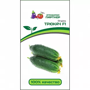 Семена Огурец Трюкач F1