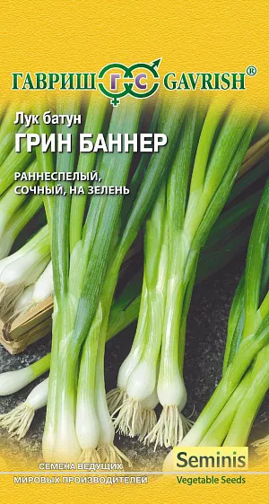 Семена Лук батун Грин баннер