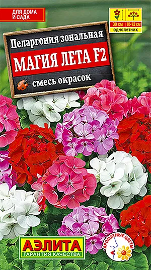 Семена Пеларгония Магия лета F2, смесь сортов из каталога Пеларгония Семена Пеларгония Магия Лета смесь окрасок F2.
Одно из самых любимых и неприхотливых растений для дома и сада. Пеларгония (в просторечии “герань”) растет быстро и обильно цветет с весны до осени. Стебли прочные, прямостоячие, высотой 25-35 см. Цветки собраны в крупные зонтиковидные соцветия ø 10-15 см. Растения тепло- и светолюбивые, засухоустойчивые. Великолепно подходят для круглогодичного выращивания на подоконниках в качестве комнатных. Отлично растут в открытом грунте, украшая собой клумбы и рабатки, идеальны для садовых ваз и балконных ящиков. Осенью можно забрать растения домой, а весной вернуть в сад на прежнее место. Агротехника. Выращивают через рассаду. Сеянцы пикируют в фазе одного-двух настоящих листьев. При достижении рассадой 8-10 см верхушки побегов прищипывают, чтобы стимулировать ветвление. Высаживают рассаду в открытый грунт, когда минует угроза заморозков.
