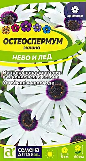 Семена Остеоспермум Небо и Лед из каталога Остеоспермум Семена Остеоспермум Небо и Лед<br>
<br>
Прекрасная, продолжительно цветущая «капская маргаритка», выращивается в культуре как однолетник. Растение густооблиственное, образует компактный кустик высотой 40-60 см. Ромашковидные соцветия диаметром 4-5 см с белыми язычковыми цветками и синим центром. Главные достоинства – длительное, с июня по октябрь, непрерывное цветение, не теряет декоративности в непогоду. Выращивают в цветниках, вазонах и кадках на террасах и внутренних двориках. Добавит изящества и свежести любой садовой композиции. Растение свето- и теплолюбивое. Хорошо растет на прогреваемых солнечных участках с рыхлой питательной почвой без застоя воды и избытка органики.<br>