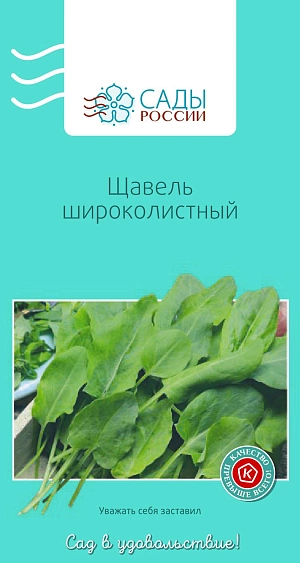 Щавель широколистный