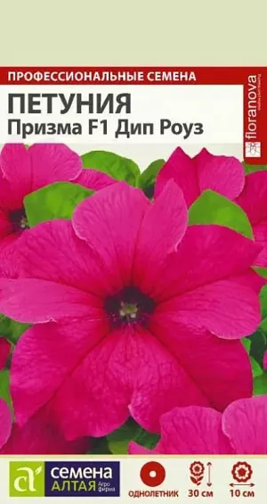 Семена Петуния Призма Дип Роуз F1 из каталога Петуния Петуния Призма Дип Роуз F1<br>
<br>
Уникальная серия крупноцветковой гибридной петунии, отличающаяся очень ранним цветением, широким спектром окраски цветков и компактным выравненным габитусом растений, при этом с густым ветвлением. Кустики компактные, высотой 25-30 см. Цветки крупные воронковидные, диаметром 7-10 см, с волнистым краем. Идеальный гибрид для всех видов использования: прекрасно смотрится в горшках, контейнерах и подвесных корзинах, при ковровых посадках в саду и внутренних двориках. <br>
Всходы появляются через 10-15 дней, стекло убирают. Февральским посевам требуется дополнительная подсветка. Пока всходы мелкие, их лучше не поливать, а опрыскивать, избегайте попадания на них прямых солнечных лучей. Пикировку проводят в фазе 1-2-х настоящих листочков. В открытый грунт рассаду высаживают в конце мая - начале июня, когда минует угроза возвратных заморозков. Посадочный интервал – 30-40 см. Обильное и продолжительное цветение с июня до осенних заморозков. Возможно сохранение растений зимой в освещенном помещении при температуре около +12°С с предварительной обрезкой побегов. Внимание! Семена дражированные - оболочку драже не разрушать!