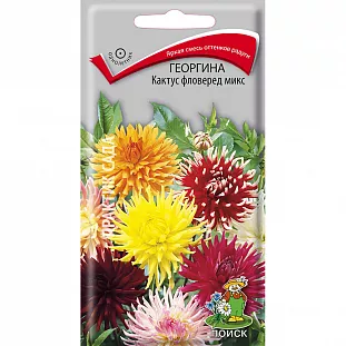 Семена Георгина Кактус фловеред микс