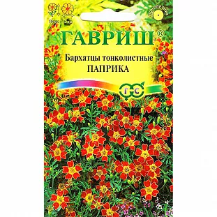 Бархатцы Паприка тонколистные