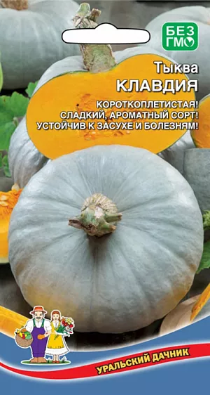 Семена Тыква Клавдия