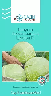 Семена Капуста белокочанная Циклоп F1