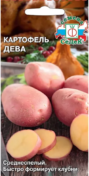 Семена Картофель Дева Семена Картофель Дева