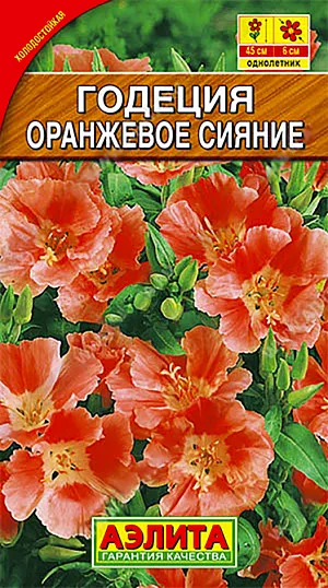 Семена Годеция Оранжевое сияние.
Роскошное обильноцветущее однолетнее растение с крупными махровыми цветками ø 6-8 см. Кустики прямостоячие, хорошо облиственные, ветвистые, высотой 40-50 см. Цветки собраны в многочисленные плотные кисти так, что одно растение напоминает шикарный букет. Цветение раннее и продолжительное, с июня до заморозков. Растения светолюбивые, не любят застоя воды в почве. Отлично подходят для рабаток, клумб, групповых посадок и контейнерной культуры. Дают хороший материал для срезки.
Агротехника. Посев семян на рассаду по 3-4 семени в отдельные горшочки, так как сеянцы плохо переносят пикировку. Рассаду в открытый грунт высаживают, не дожидаясь сроков окончания возвратных холодов. Посадку проводят с максимальным сохранением кома земли. Возможен посев семян в открытый грунт ранней весной или под зиму, в конце октября.