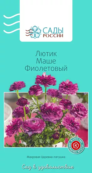 Лютик Маше Фиолетовый

Лютики (ранункулюсы) азиатские, или садовые, – удивительные, очаровательные цветы, напоминающие маленькие розочки или слегка распустившиеся пионы. Они восхищают многих садоводов-любителей и всё же остаются пока довольно редкими гостями на наших участках. Ранункулюсы разных окрасок и оттенков в период массового цветения образуют необыкновенное по красоте море цветов.
Перед посевом семена замочить в воде на 2–4 часа. Для субстрата подойдет чернозем, обогащенный торфом. Также необходим дренажный слой и хорошее освещение сеянцев. Плохо переносит пересадки. Полив каждые 2–3 дня. Зацветает на следующий год. Теплолюбив, рассаду высаживают в грунт после того, как минует угроза возвратных заморозков.