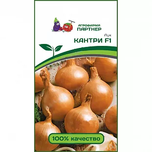 Семена Лук репчатый Кантри