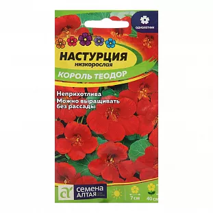Настурция Король Теодор