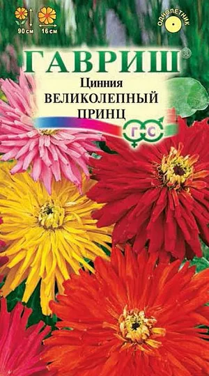 Семена Цинния Великолепный принц смесь.
Неприхотливое однолетнее растение семейства Сложноцветные, с прямостоячим прочным стеблем высотой до 90 см.
Цветение обильное с июня до заморозков. Соцветия крупные, разнообразной окраски. Светолюбива, засухоустойчива и теплолюбива.
Выращивают рассадным способом. Семена высевают в апреле на глубину 1 см.
Оптимальная для прорастания семян температура почвы 20-25о С. Всходы появляются через 4-6 дней.
В начале июня растения высаживают на расстоянии 25-30 см. В южных регионах циннию размножают прямым посевом в грунт в мае с последующим прореживанием. Цветет очень обильно и продолжительно все лето до осенних заморозков. Используют на клумбах, в рабатках, больших массивах и для срезки.
Особенно хорошо циннии смотрятся группой. Цветы долго стоят в воде, сохраняя яркость окраски.