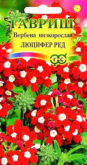 Семена Вербена низкорослая Люцифер Ред.
Растение высотой 25 см, культивируется, как однолетник (семейство Вербеновые). Цветет с июля по сентябрь.
Цветки красные с глазком, собраны в соцветия диаметром 7-8 см, имеют приятный запах. 
Светолюбива и холодостойка, предпочитает рыхлые плодородные почвы. Выращивают рассадным способом. 
Семена высевают в конце марта - начале апреля. Всходы появляются через 10-20 дней. 
Рассаду высаживают в открытый грунт в середине мая на расстоянии 25 см. Используют для посадки на клумбах, рабатках, в группах, невысокие формы особенно хороши в бордюрах.