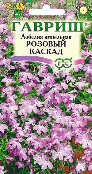 Семена Лобелия Розовый каскад ампельная.
Травянистое растение, с обильно цветущими, свешивающимися побегами до 30-35 см длиной. 
Цветки розовые, до 2 см в диаметре, двугубые, на коротких цветоножках, по одному в пазухах листьев. 
Цветет с июня по сентябрь. Продолжительность и обильность цветения увеличиваются при своевременном удалении отцветших стеблей.
Размножают семенами, посев которых производят в феврале - апреле. 
Семена у лобелии мелкие, поэтому для равномерности посевов их смешивают с сухим песком в соотношении 1:50 и не заделывают в почву.
Выращивают в вазах, горшках, балконных ящиках и висячих корзинах. Цветущими каскадом лобелии украшают подпорные стенки.
Можно высаживать их на клумбах и в бордюрах в качестве почвопокровных растений.