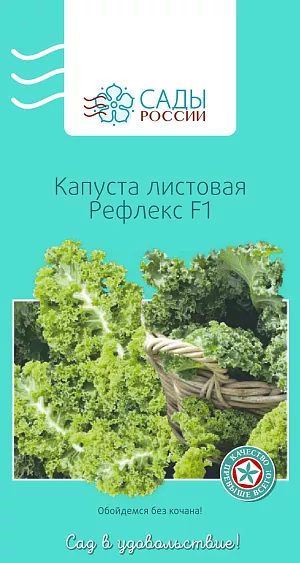 Семена Капуста листовая Рефлекс 12шт Семена Капуста листовая Рефлекс 12шт