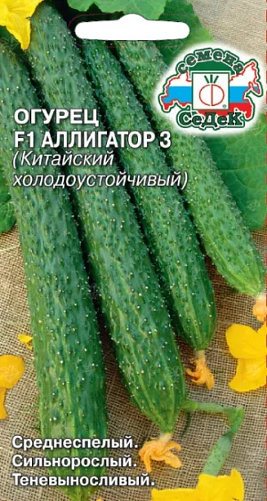 Семена Огурец Аллигатор 3 F1