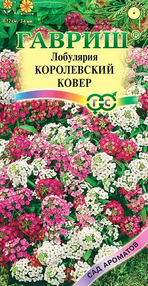 Семена Лобулярия Королевский ковер.
Однолетние растения из семейства крестоцветных. Кусты низкие, густоветвящиеся, компактные, высотой 8-12 см.
Листья узколанцетные. Цветки мелкие, 3-4 мм в диаметре, собраны в кистевидные соцветия, с сильным запахом меда, сплошь покрывают кусты во время цветения. 
Окраска соцветий белая, розовая, лиловая, фиолетовая. Цветет лобулярия с июня до октября. 
Семена высевают в грунт в апреле-мае или в марте на рассаду. При температуре почвы 18° С всходы появляются на 14-20 день. 
Расстояние между растениями выдерживают 15-20 см. Возможен подзимний посев. К почвам нетребовательна, светолюбива, холодоустойчива. 
Не переносит избытка влаги и длительной засухи. Используют для широких ленточных цветников, массивов, бордюров, каменистых россыпей.