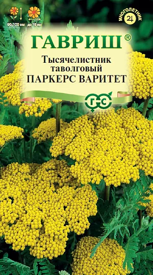Тысячелистник Паркерс Варитет (желтый)