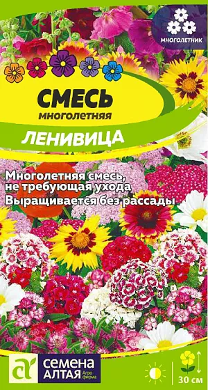<div>
 Семена Смесь "Ленивица многолетняя" низкая.
</div>
Неприхотливая, искусно подобранная смесь низкорослых теневыносливых многолетних цветов. В составе смеси более 10 видов растений (алиссум, астра альпийская, маргаритка многолетняя, гравилат, лен многолетний, незабудка альпийская, вероника колосистая и др.), которые будут радовать вас ярким и пышным цветением с ранней весны до поздней осени. Смесь прекрасно подходит для каменистых садиков и альпийских горок. Великолепно выглядит при выращивании на клумбах, рабатках, бордюрах, за вегетационный сезон несколько раз меняет свой облик. Растения, входящие в состав смеси, неприхотливые, выносливые, их не сложно вырастить из семян, сохраняют декоративность на протяжении всего сезона при минимальном уходе. Нетребовательны к качеству почв и освещенности. Семена высевают в открытый грунт сразу на постоянное место в конце апреля – начале мая или под зиму (в сентябре-октябре). Перед посевом почву нужно как можно лучше взрыхлить, разровнять. После чего сделать рядки и посеять семена. Для более равномерного посева семена лучше предварительно смешать с песком. Сеять лучше в штиль, и обязательно в увлажненную почву. Заделывают посевы слоем мелкого перегноя (без комков) или торфом на 0,5-1 см. До появления восходов необходима защита укрывным материалом. Всходы пикируют или прореживают с интервалом 10-15 см. Последующий уход предусматривает рыхление, прополку и своевременный полив. Важно следить, чтобы почва не пересыхала.