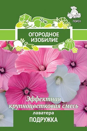 Семена Лаватера Подружка.
Эффектные яркие цветки. Великолепная смесь высокорослых сортов. Ветвистое растение, высотой 80-100 см, с воронковидными цветками до 8-10 см в диаметре, ярко-белой, розовой и карминно-розовой окраски. Используют для клумб, как фокусное растение, хорошо смотрится в рядовых посадках и для срезки.
 Посев: май
Глубина посева: 0.5 см
Время цветения: июль – окт.
Схема посадки: 25х30 см