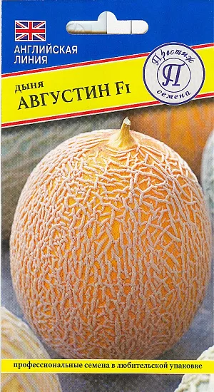 Семена Дыня Августин F1