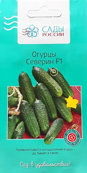 Семена Огурец Северин F1 Семена Огурец Северин F1