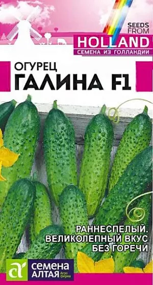 Семена Огурец Галина F1